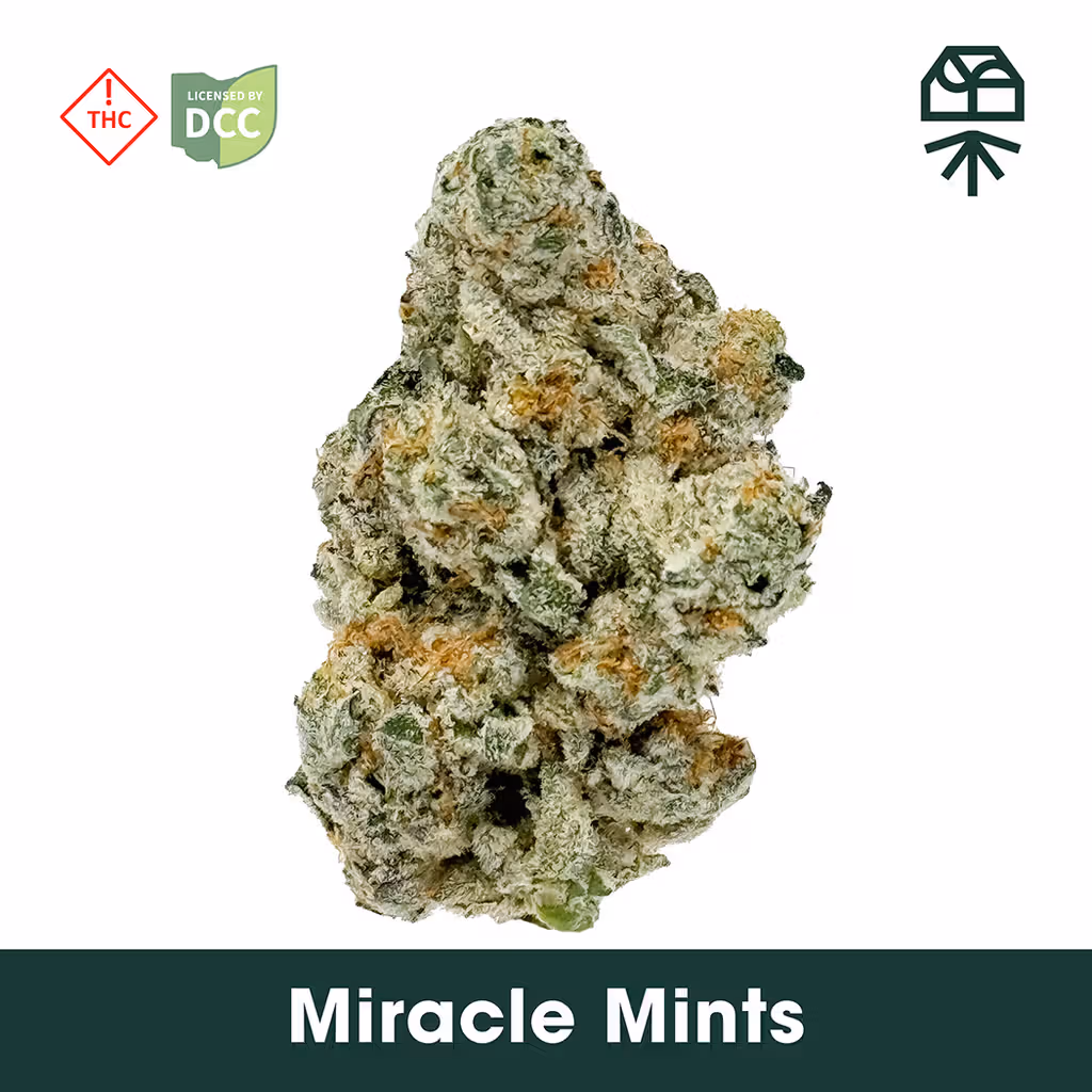 Miracle Mintz Grassroots
