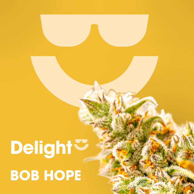 Bob Hope Delight
