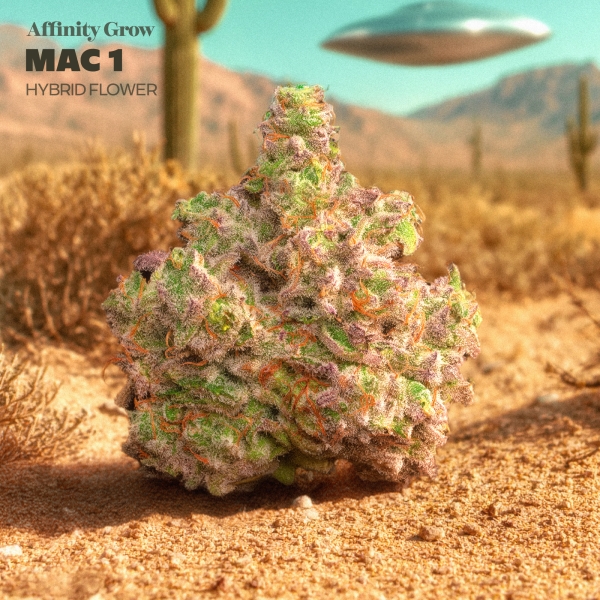 MAC 1