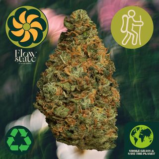 Sour Haze Flow State