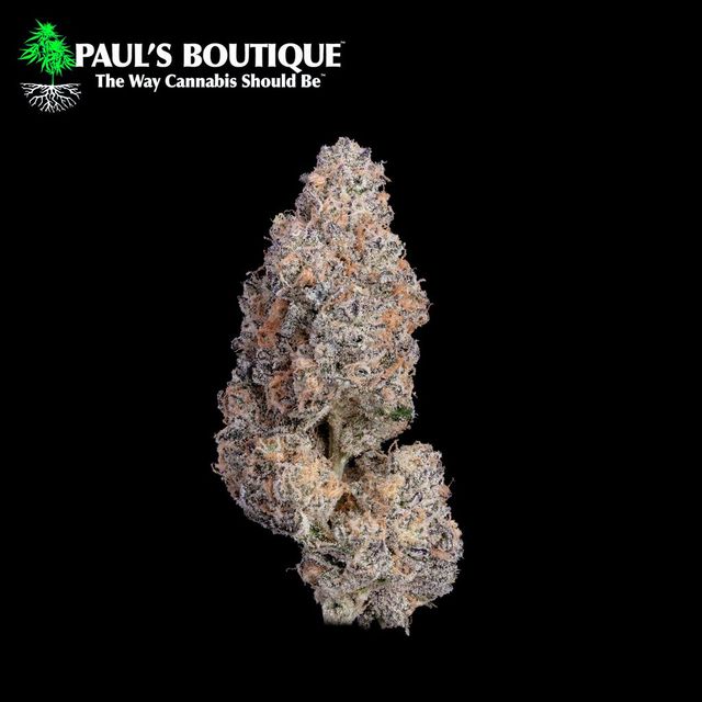 Bosscotti Paul's Boutique