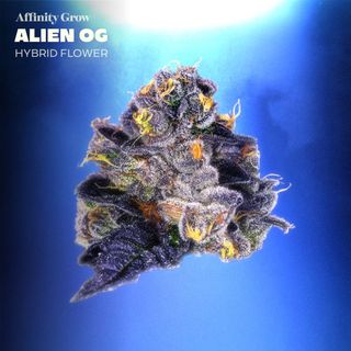 Alien OG Affinity Grow