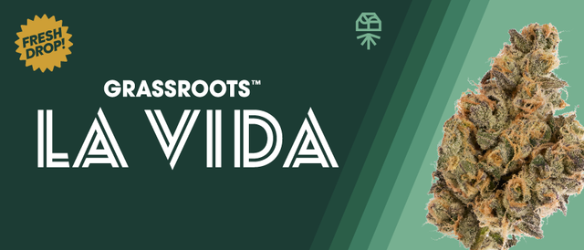 Cannabis Promo, Cannabis Sales, Cannabis Discounts, Cannabis on Sale, Launch: Grassroots La Vida