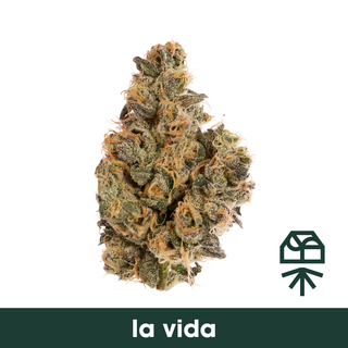 La Vida Grassroots
