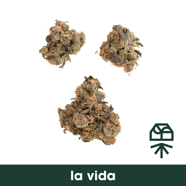 La Vida Grassroots