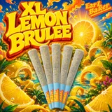XL Lemon Brulee