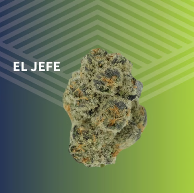 El Jefe Pure Dakota