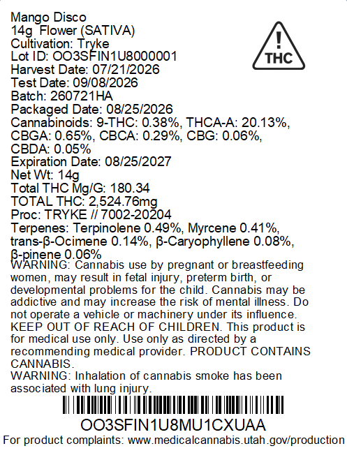 Mango Disco Find. Mango Disco Find.