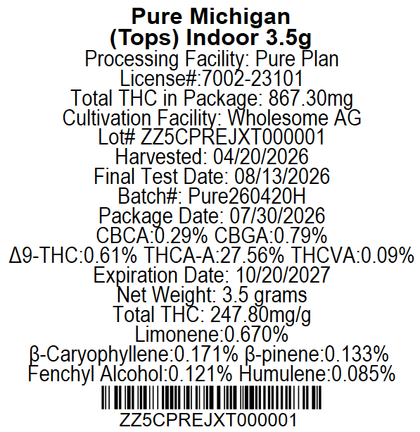 Pure Michigan Pure Plan Pure Michigan Pure Plan