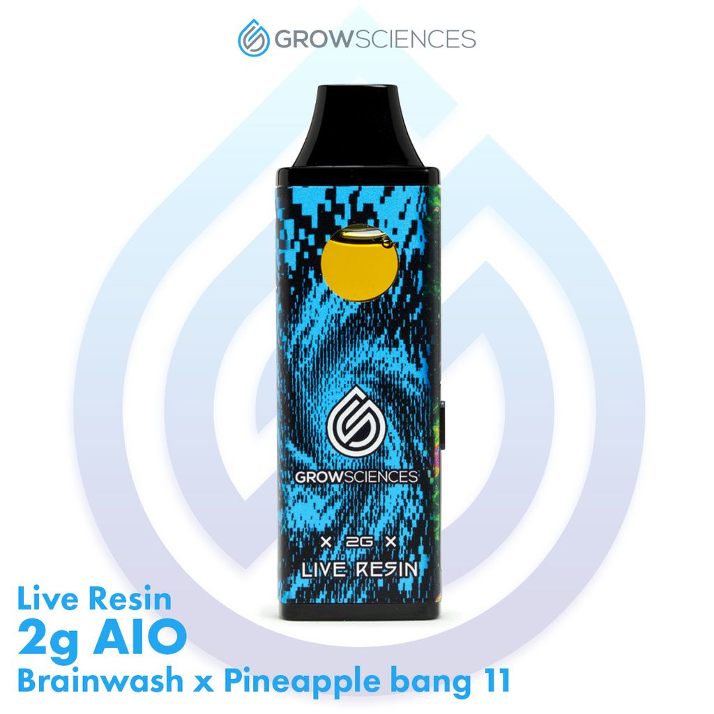 Brainwash x Pineapple Bang 11