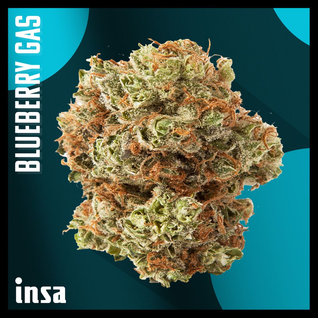 Blueberry Gas