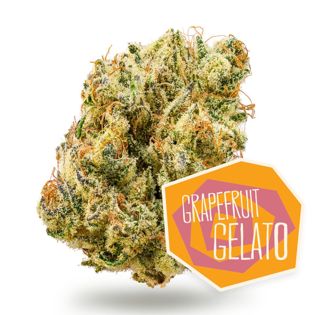 Grapefruit Gelato