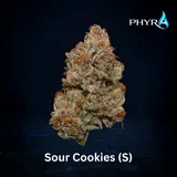 Sour Cookies
