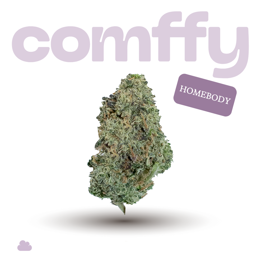 Homebody