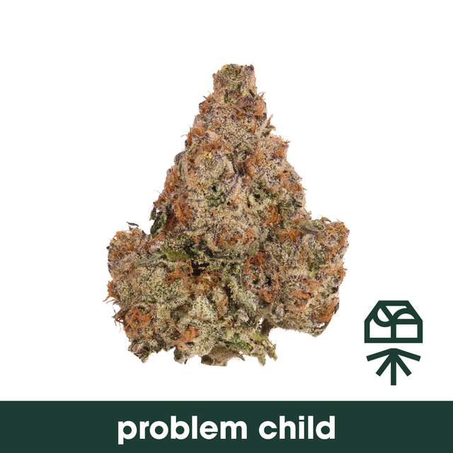 Problem Child