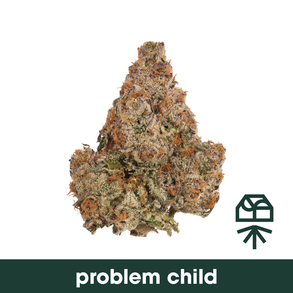 Problem Child