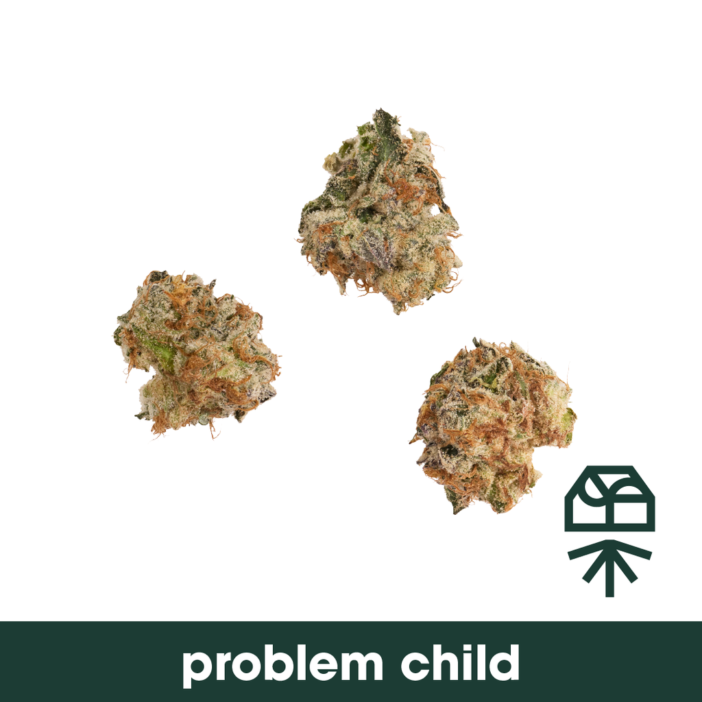 Problem Child