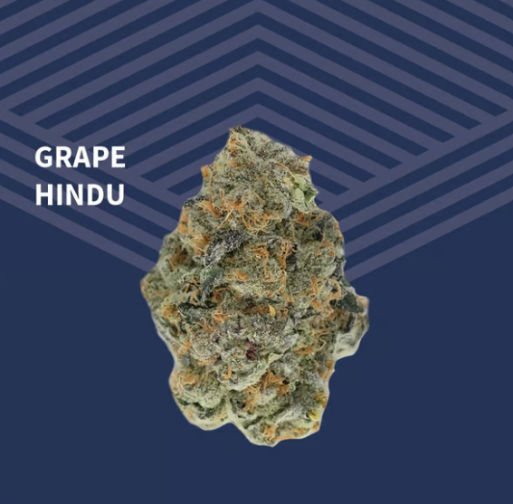 Grape Hindu Pure Dakota