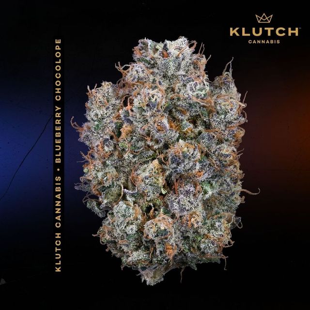 Blueberry Chocolope Klutch