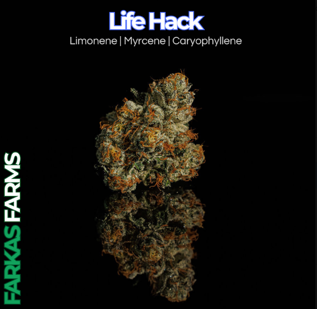 Life Hack Farkas Farms