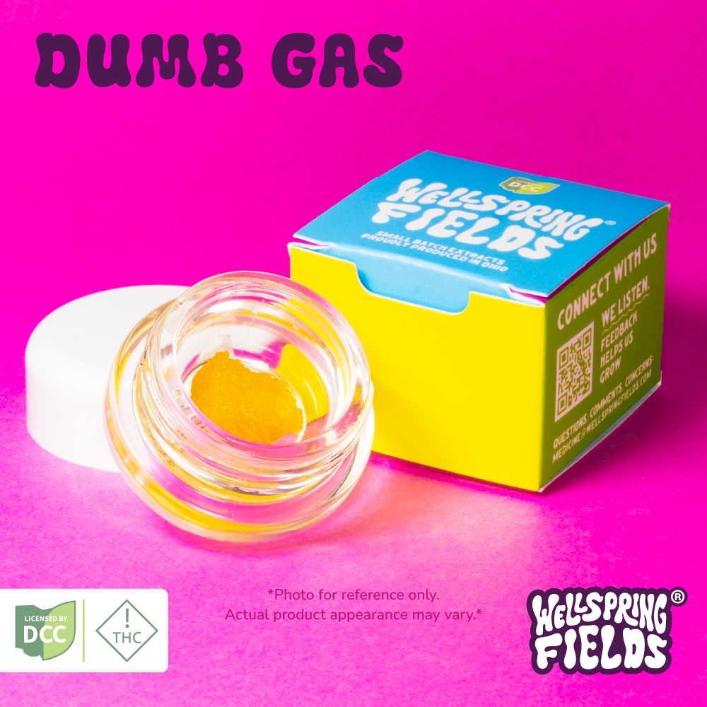 Dumb Gas, Wellspring Fields