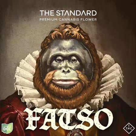 Fatso The Standard