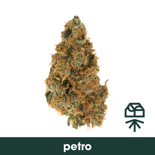Petro