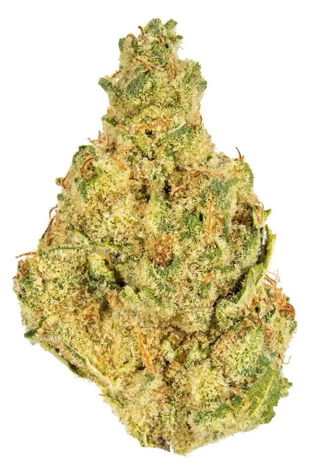 Serenity 11:11 Get Zen