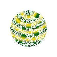 Blueberry Belts Flav