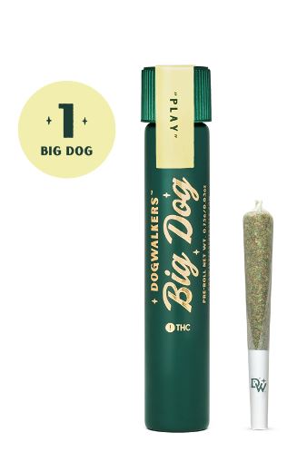 Buy Dogwalkers Pre-Roll Sour Diesel 0.75 g image