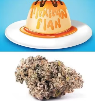 Mexican Flan | 3.5g Whole Flower Cookies