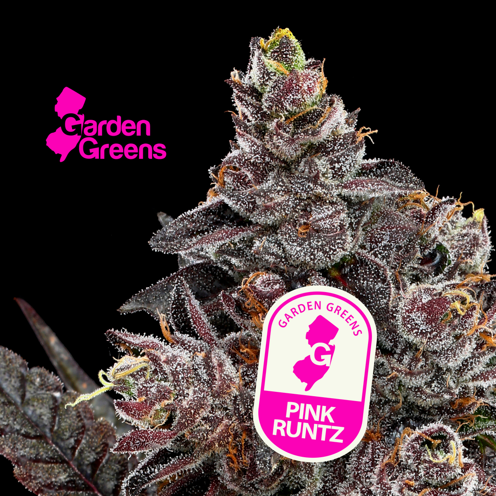 Buy Garden Greens Flower Pink Runtz 3.5g image №0