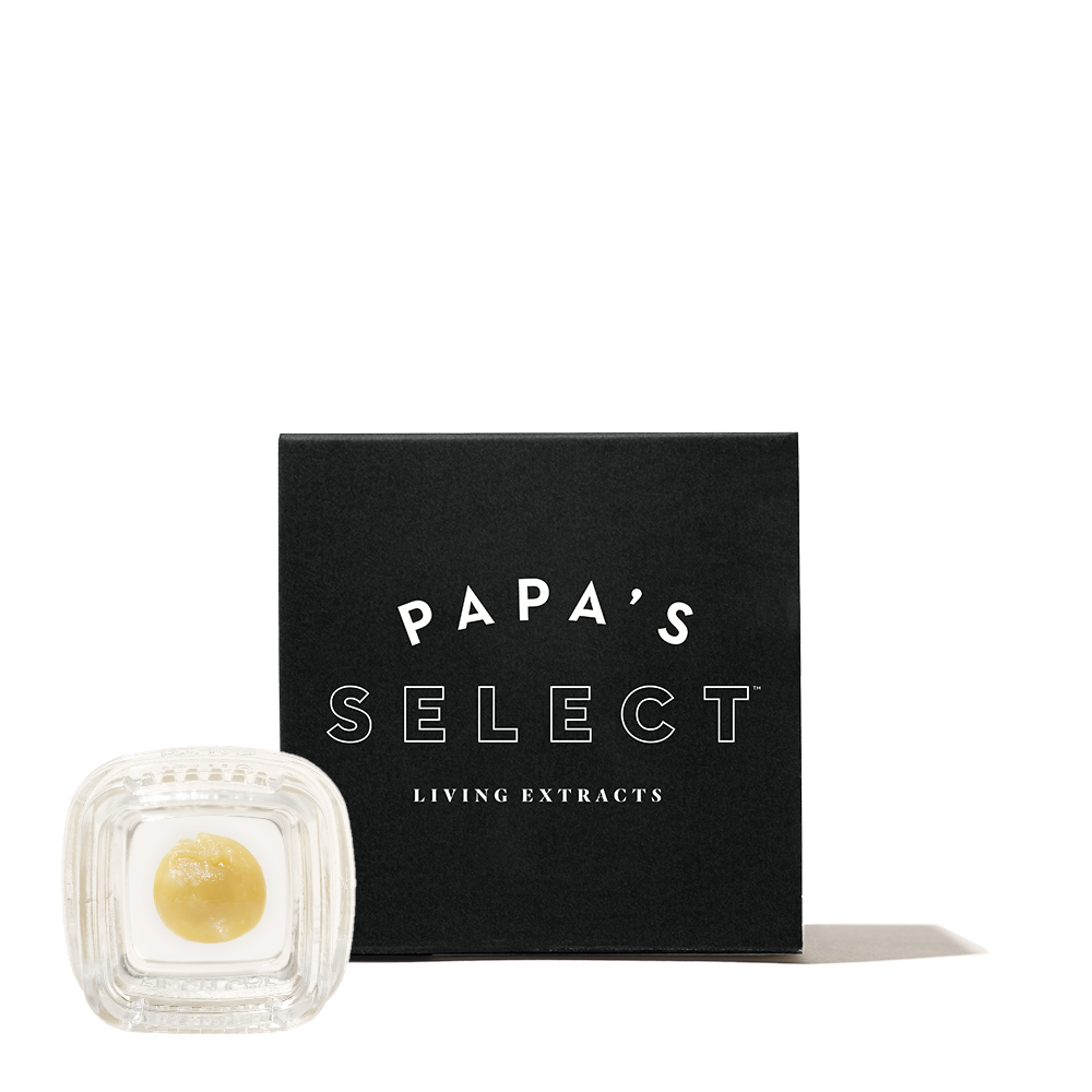 Buy Papa's Select Concentrate Golden Nana Crack 1g image