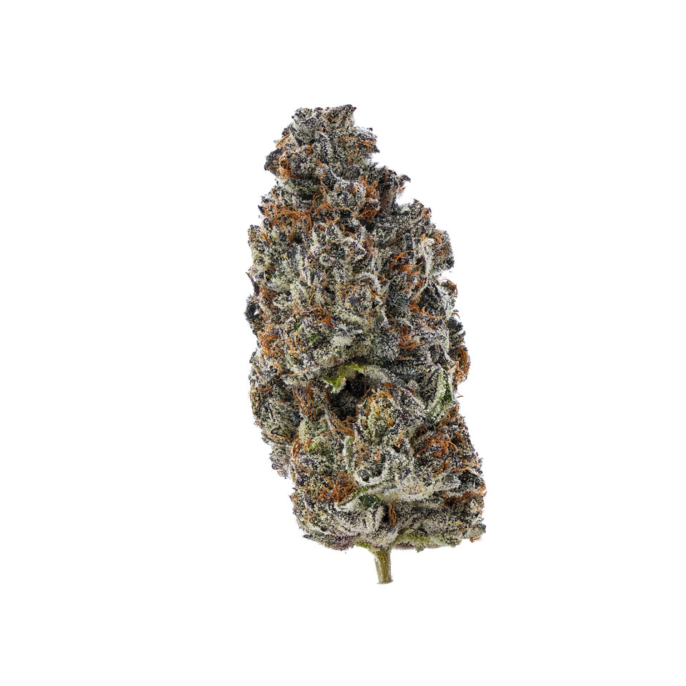 Buy (the) Essence Flower Gelato 41 3.5g Flower image №1