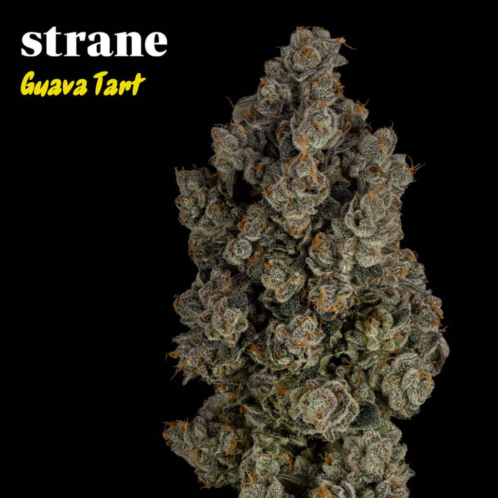 Strane — Guava Tart