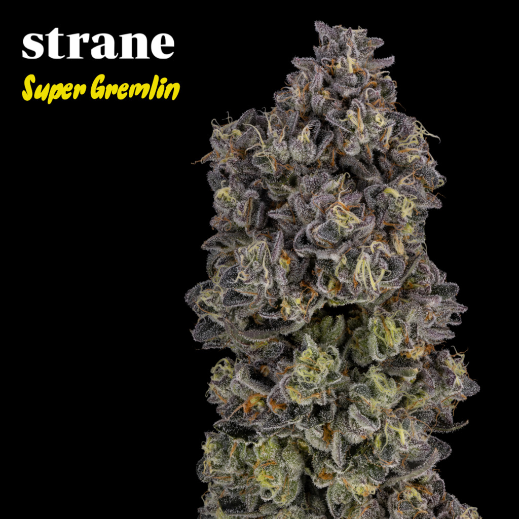 Buy Strane Flower Super Gremlin 3.5g image