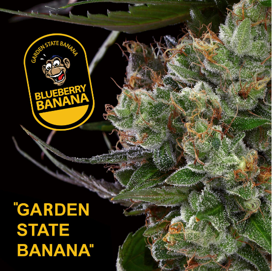 Blueberry Banana Garden Greens