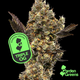Triple OG | 3.5g Whole Flower