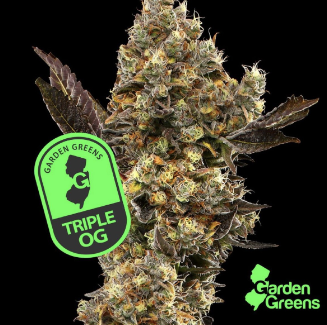 Buy Garden Greens Flower Triple OG 3.5g image