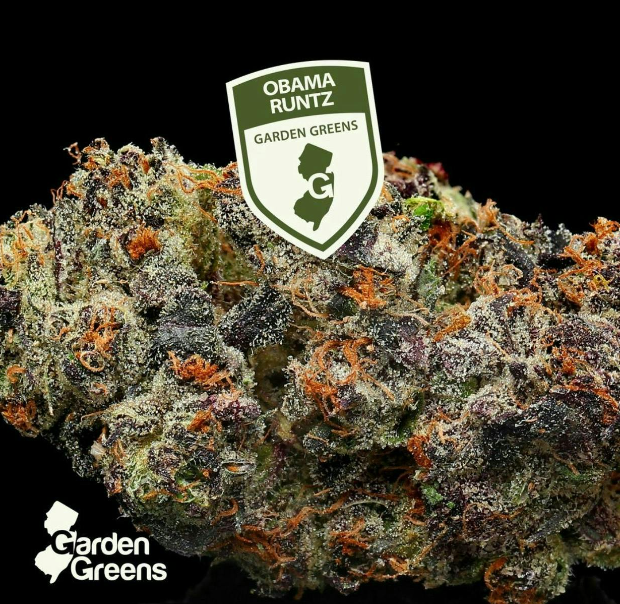 Buy Garden Greens Flower Obama Runtz 3.5g image