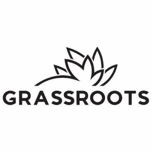 Kush Mints Grassroots