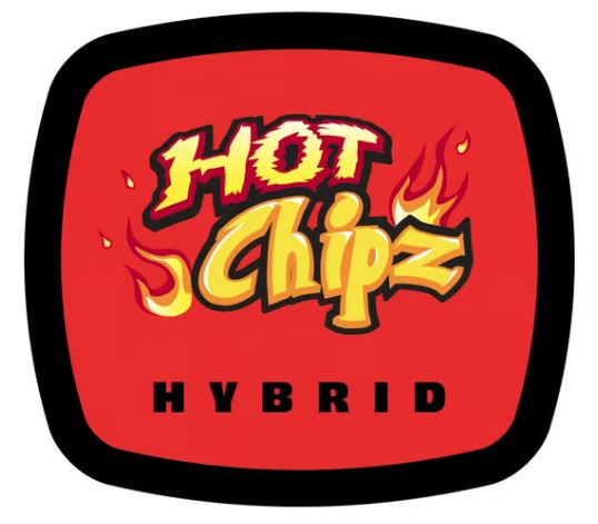 Hot Chipz 93 Boyz