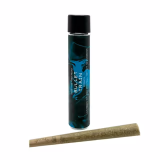 Motorbreath 15 Bullet Train