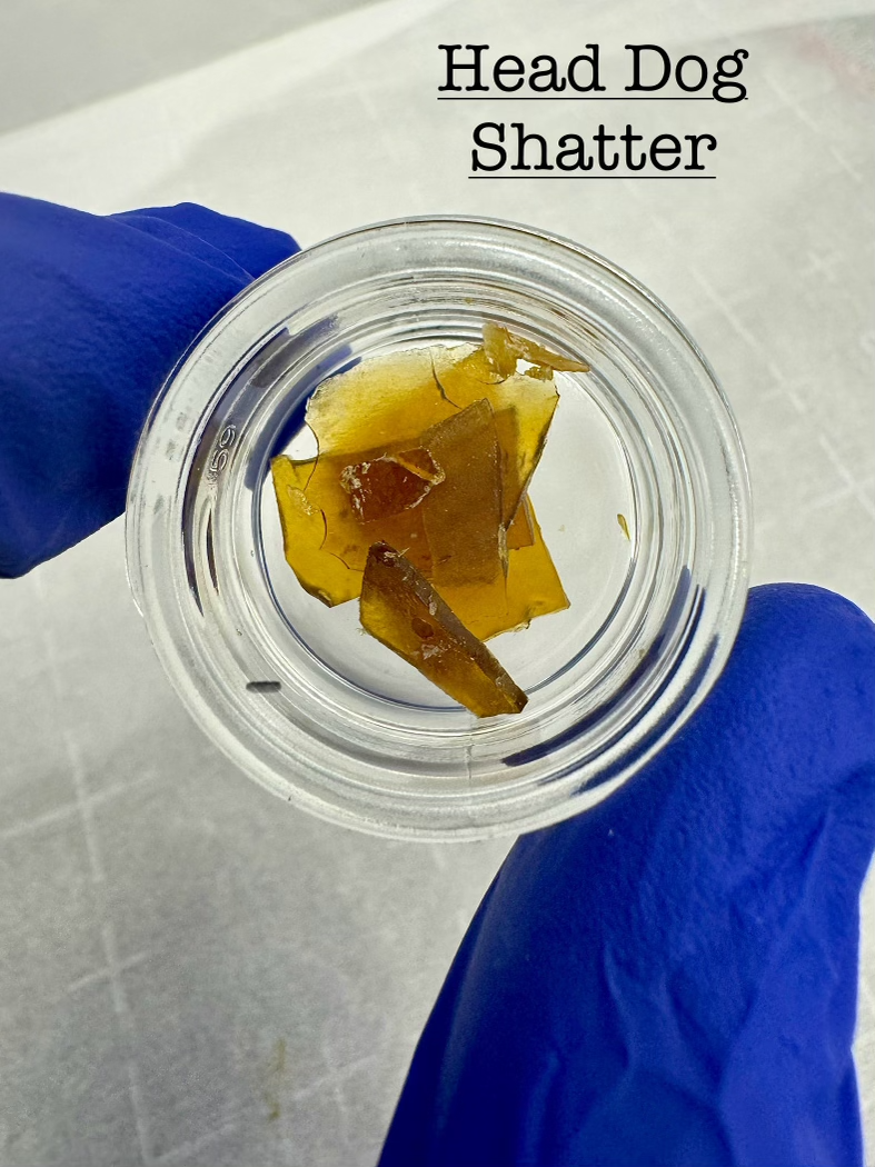 Buy Kelly's Green Concentrates Head Dog | Shatter 1g image