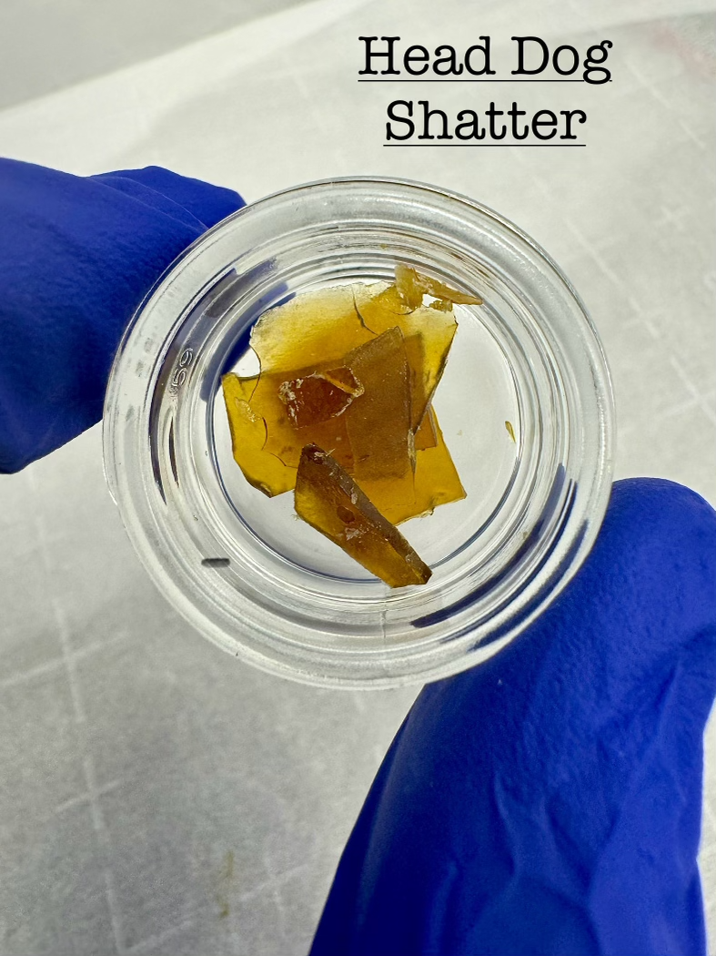 Buy Kelly's Green Concentrates Head Dog | Shatter 1g image №0