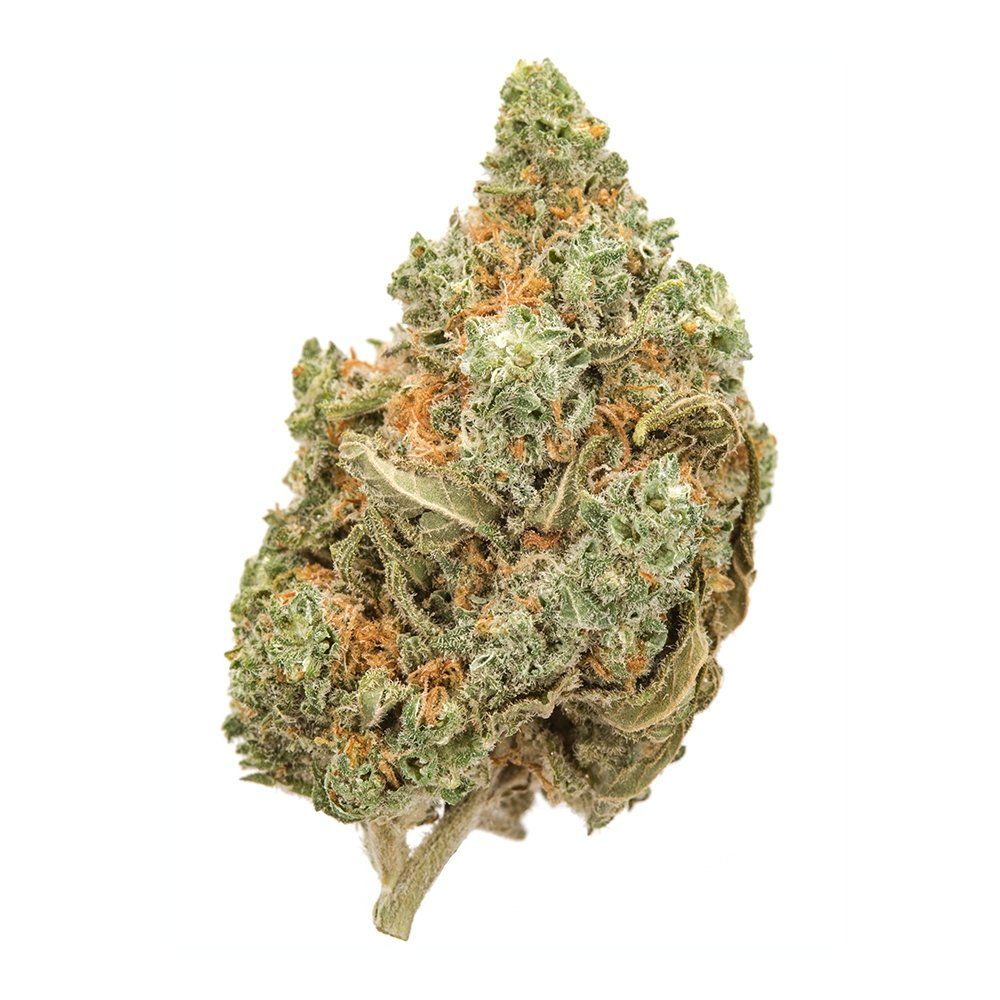 Amnesia Fast