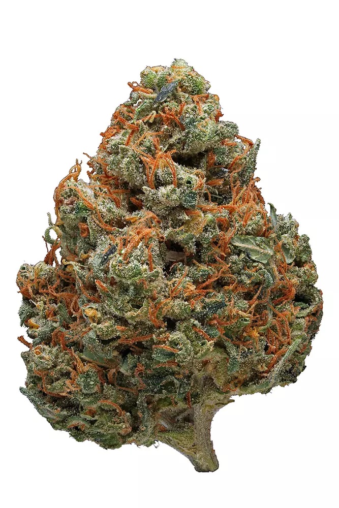 Buy Bold Cultivation Flower Durban Poison 3.5g image