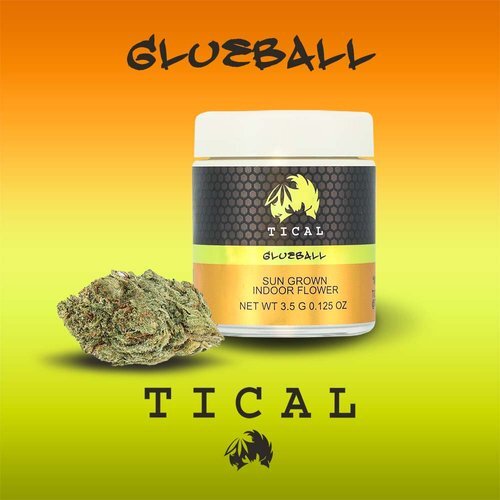 Glueball Tical