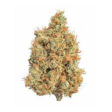 Buy Bold Cultivation Flower Mr. Clean 3.5g image