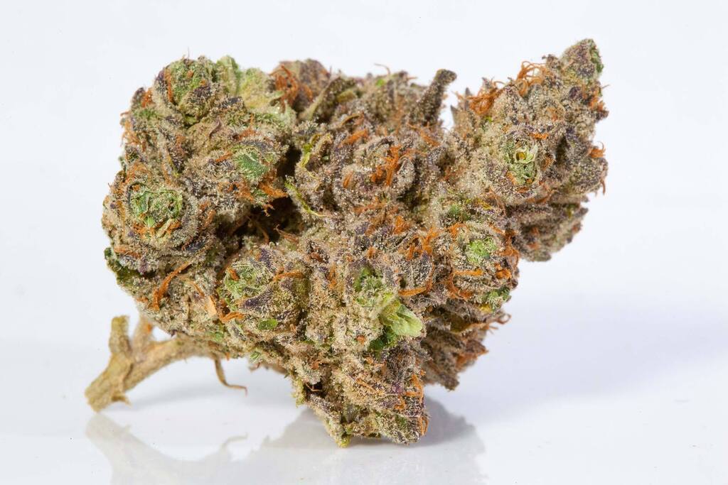 Buy Bold Cultivation Flower Stardawg F2 3.5g image